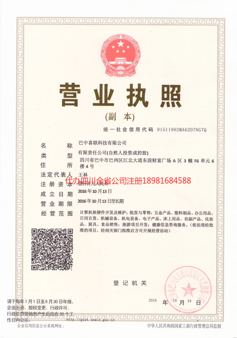 沈阳沈阳喜联科技有限公司